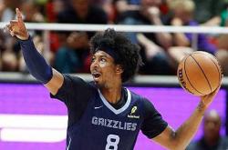 爱游戏中国-孟菲斯灰熊有意续约内特-辛顿？