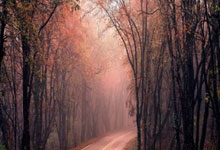 爱游戏中国-欧冠综合：利物浦主场击败皇马 拜仁客胜巴黎圣日耳曼