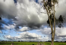 爱游戏中国-TA：英格兰多队资不抵债 切尔西曼城曼联热刺获财务公平银奖