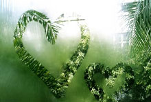 爱游戏中国-欧冠综合:利物浦主场击败皇马 拜仁客胜巴黎圣日耳曼