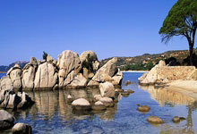 爱游戏中国-欧冠综合：利物浦主场击败皇马 拜仁客胜巴黎圣日耳曼